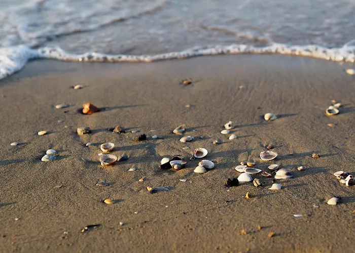 Intimate In A Modern Residence-beahost Bibione